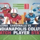 Arizona Cardinals vs Indianapolis Colts Match Player Stats