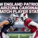 New England Patriots vs Arizona Cardinals Match Player Stats